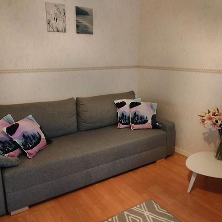 Spacious Apartment With Balcony And Free Wifi Rovaniemi Ngoại thất bức ảnh